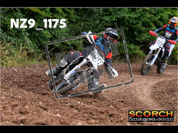 Experts-056