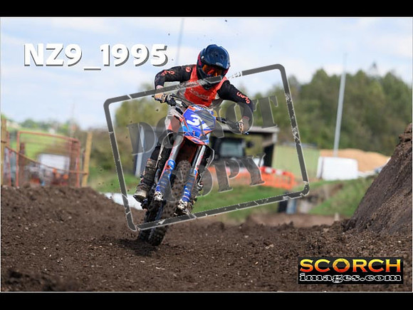 Experts-338