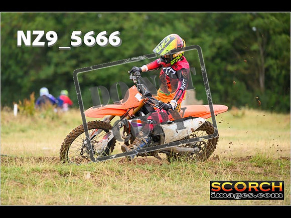 Experts-069