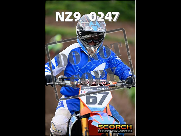 Experts-081