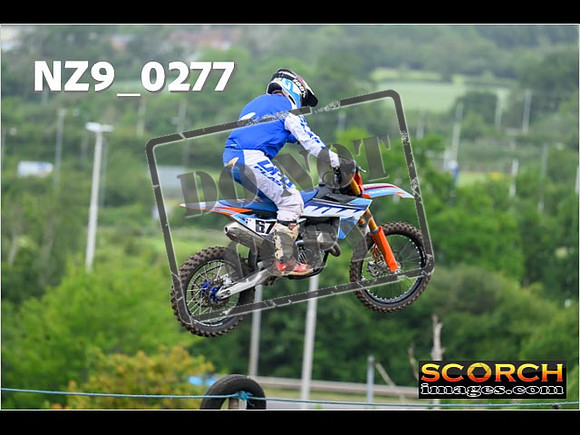 Experts-110