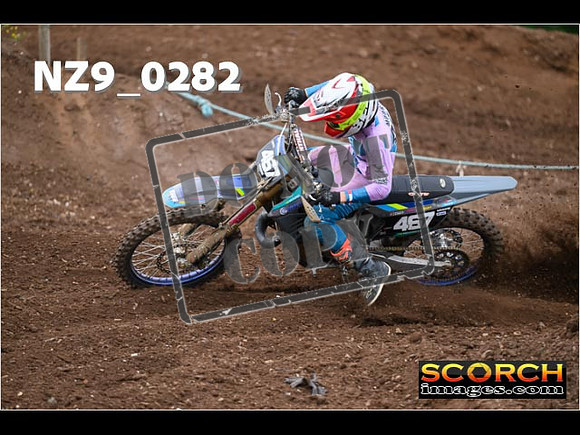Experts-115