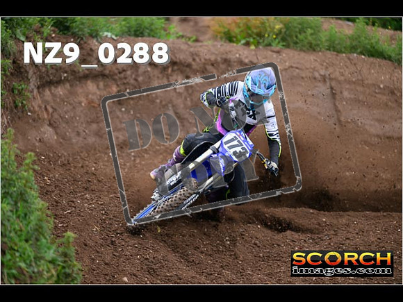 Experts-120