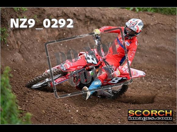 Experts-124