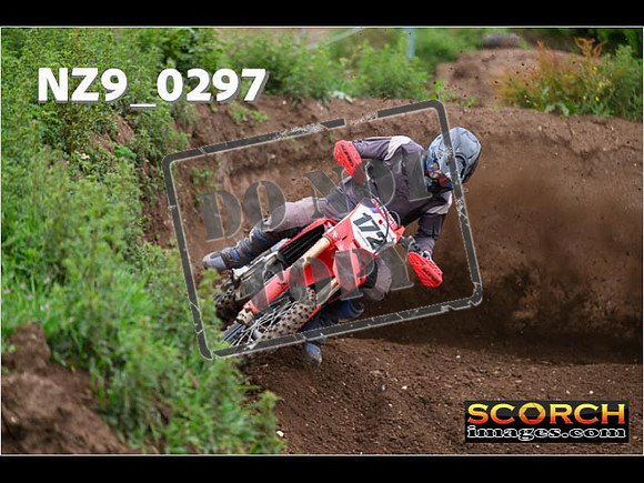 Experts-129