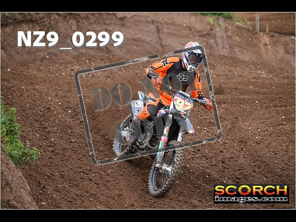 Experts-131