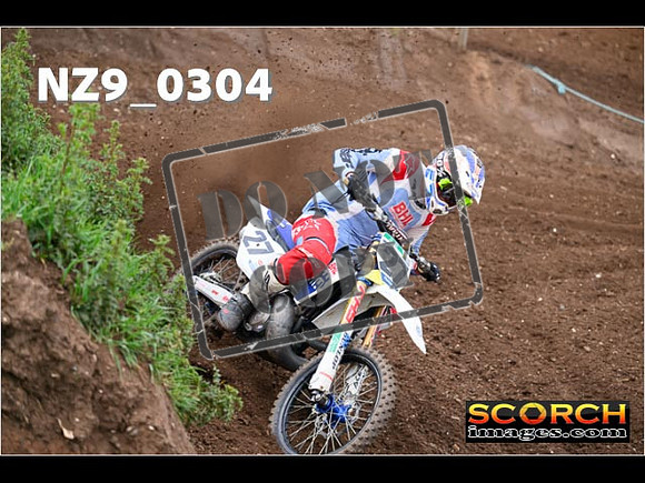 Experts-136