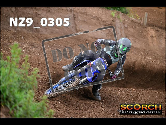 Experts-137