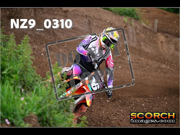 Experts-142