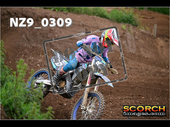 Experts-141
