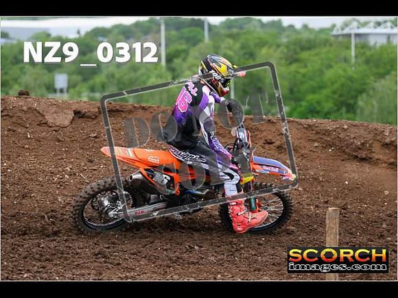 Experts-144