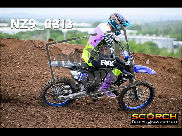 Experts-145