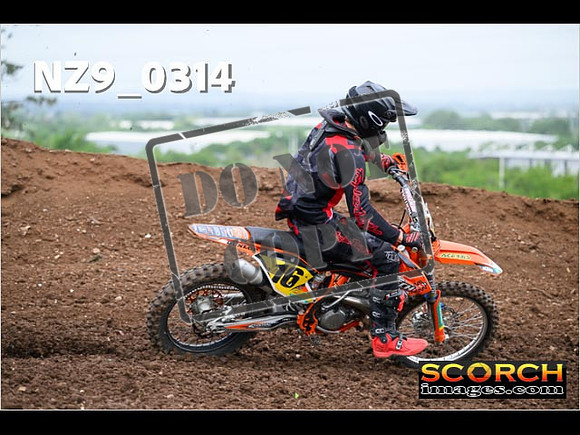 Experts-146