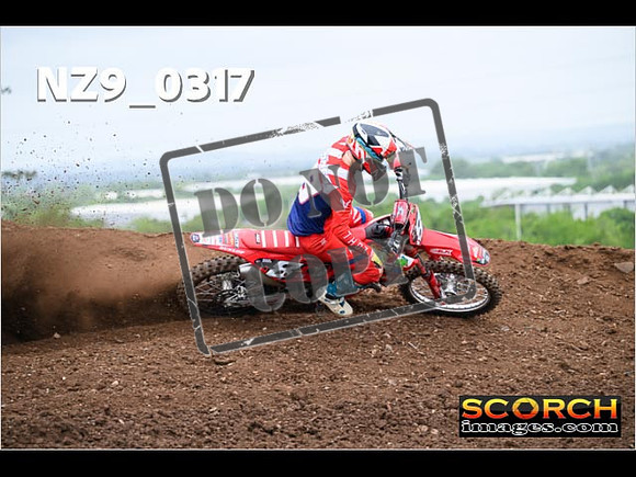 Experts-149