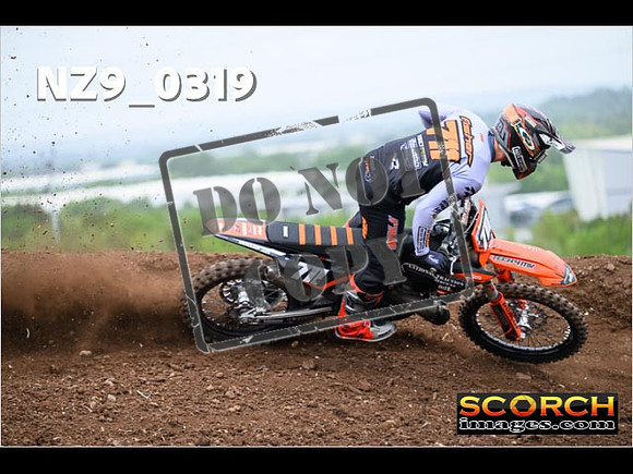 Experts-151