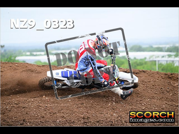 Experts-155