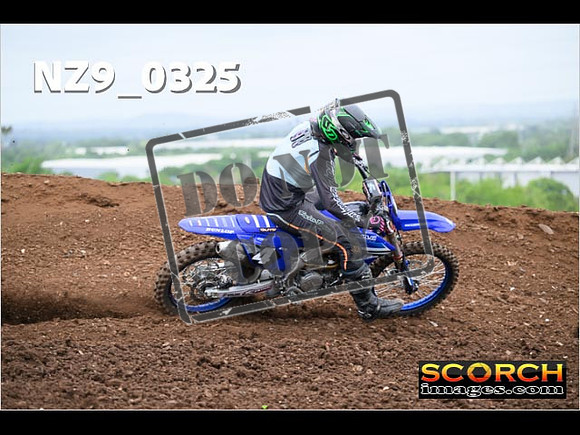 Experts-157