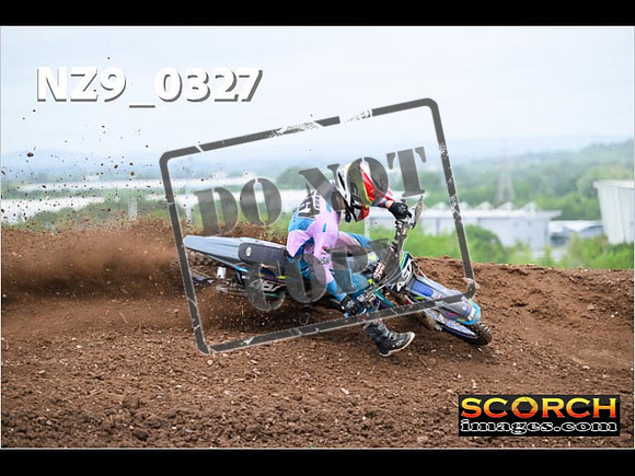 Experts-159