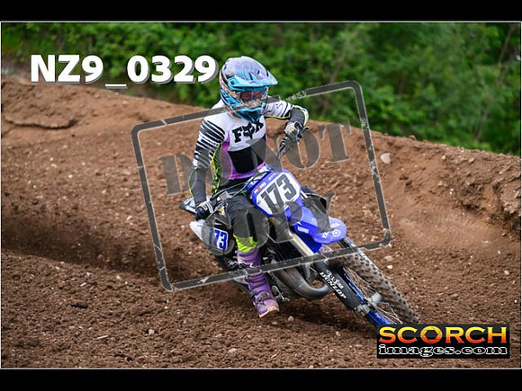 Experts-161