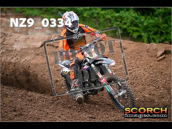 Experts-166