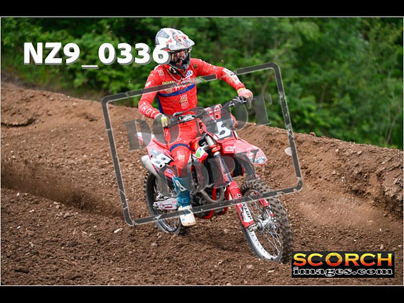 Experts-168
