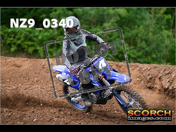 Experts-172