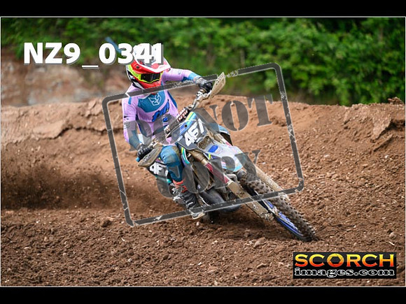 Experts-173