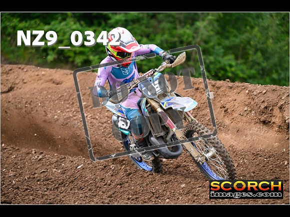 Experts-174
