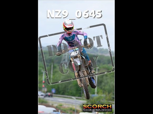 Experts-179