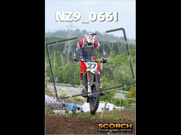 Experts-195
