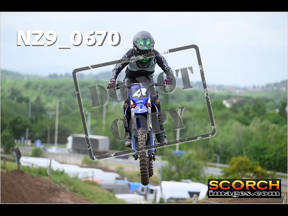 Experts-204