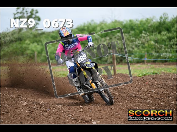 Experts-207