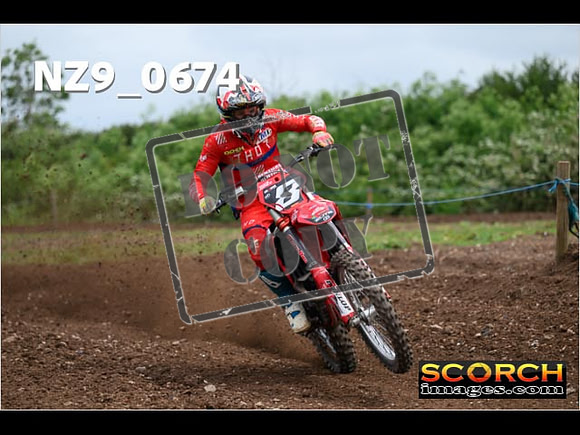 Experts-208