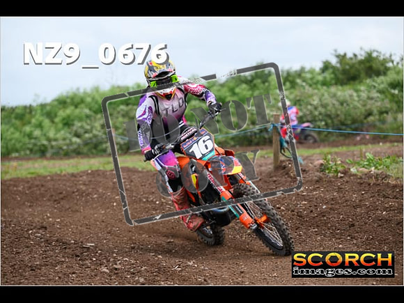 Experts-210
