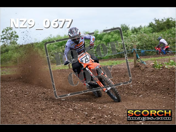 Experts-211