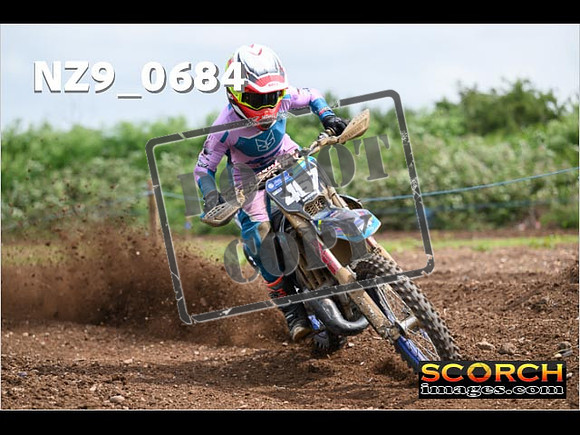 Experts-218