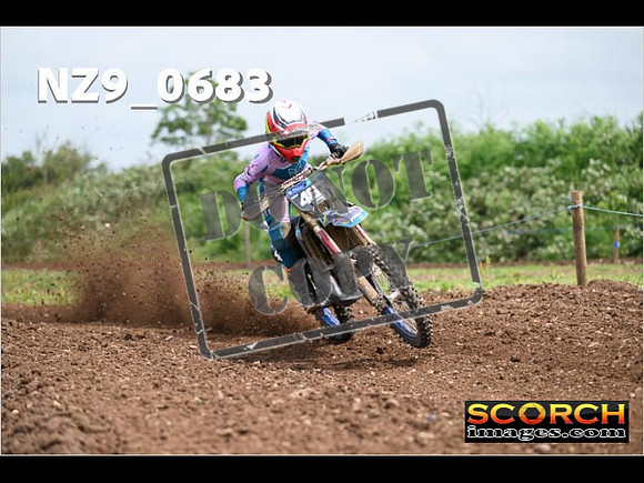 Experts-217