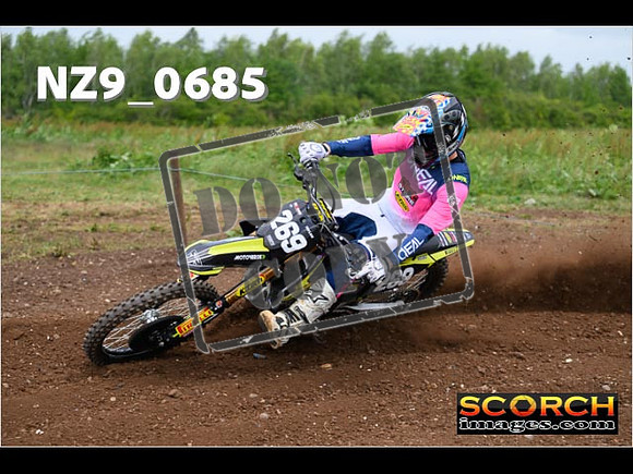Experts-219