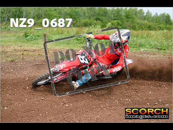 Experts-221