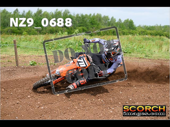 Experts-222