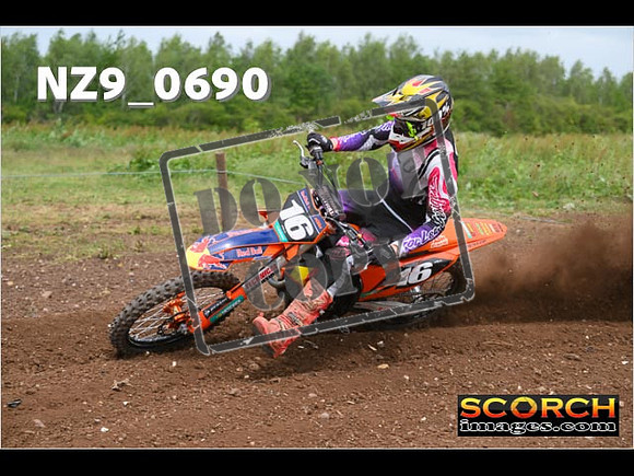 Experts-224