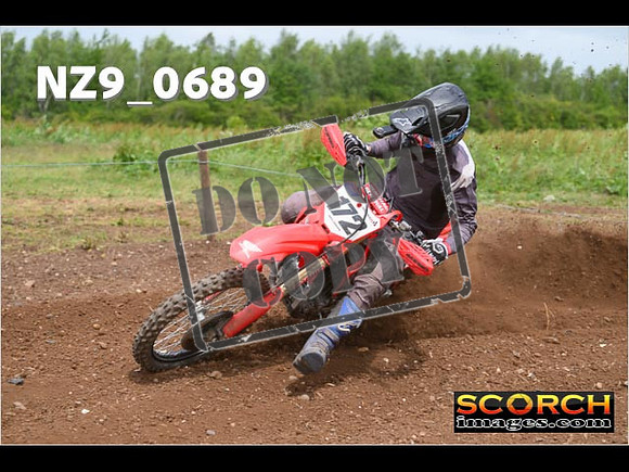 Experts-223