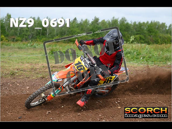 Experts-225