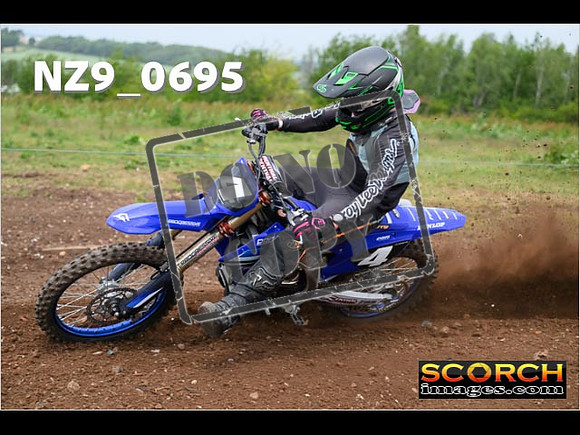 Experts-229
