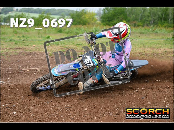 Experts-231