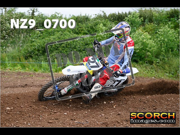 Experts-233