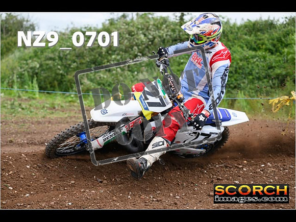 Experts-234