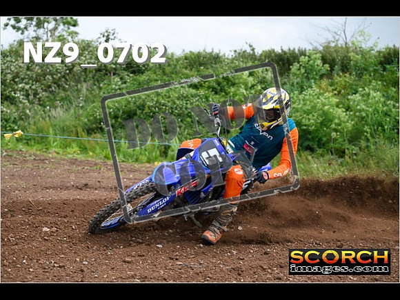 Experts-235