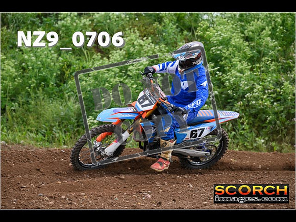 Experts-239