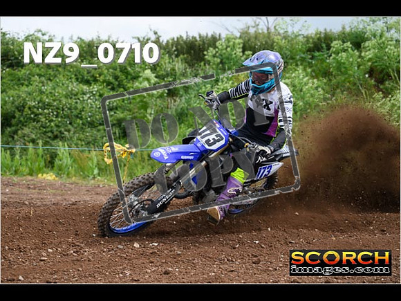 Experts-241